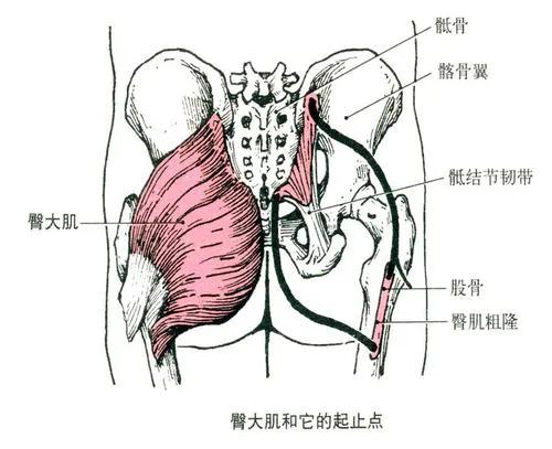 最美健身操_最美健身_最美健身房