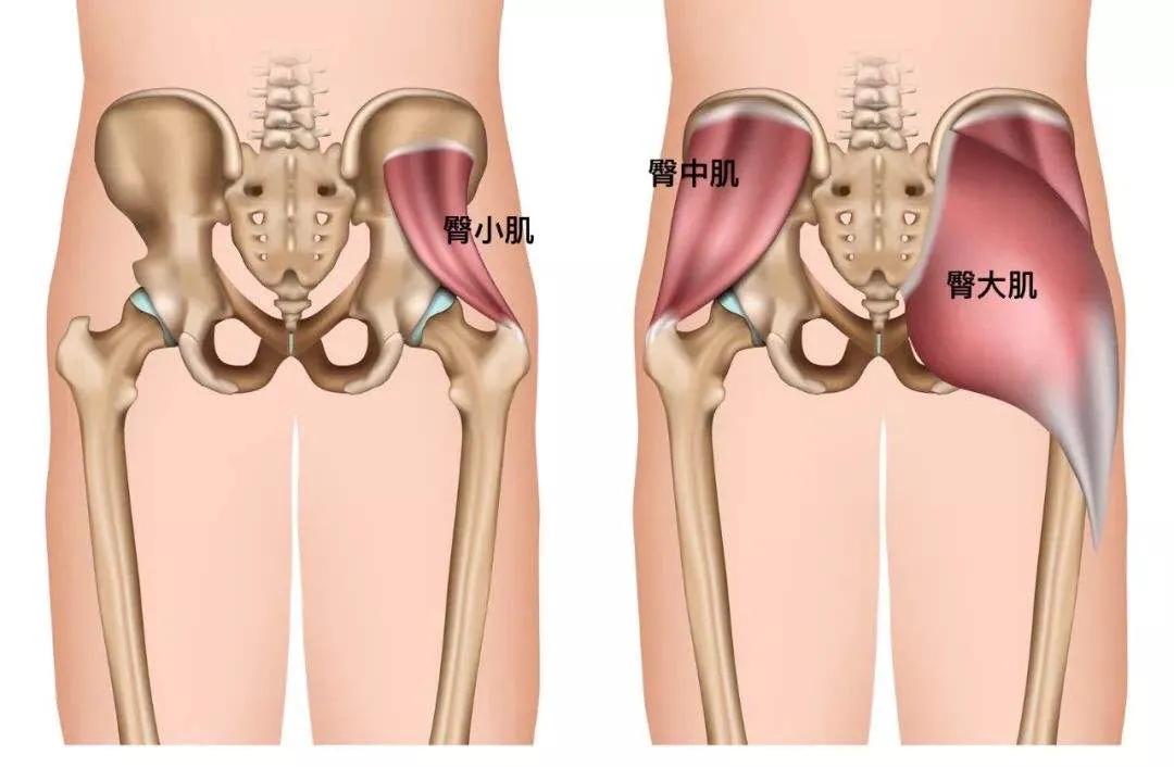 最美健身_最美健身房_最美健身操