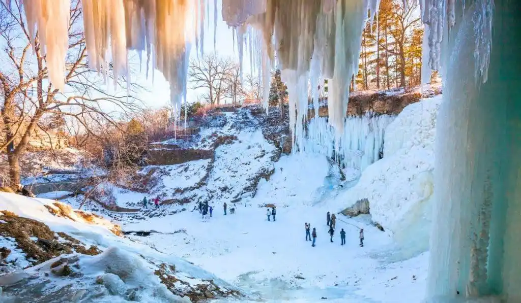 雪橇犬马拉松_拉雪橇的马_马拉松狗