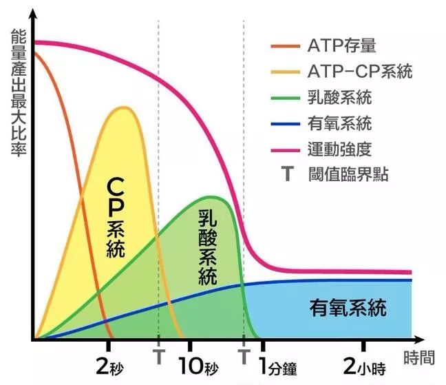 马拉松是不是有氧_马拉松属于有氧运动_马拉松是有氧呼吸还是无氧呼吸